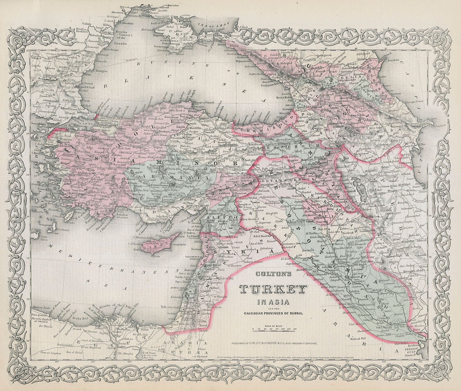 Colton's Turkey in Asia. Decorative antique map. Levant Georgia Iraq 1869